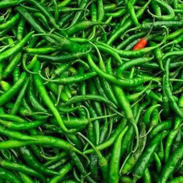 Hari Mirch 100g