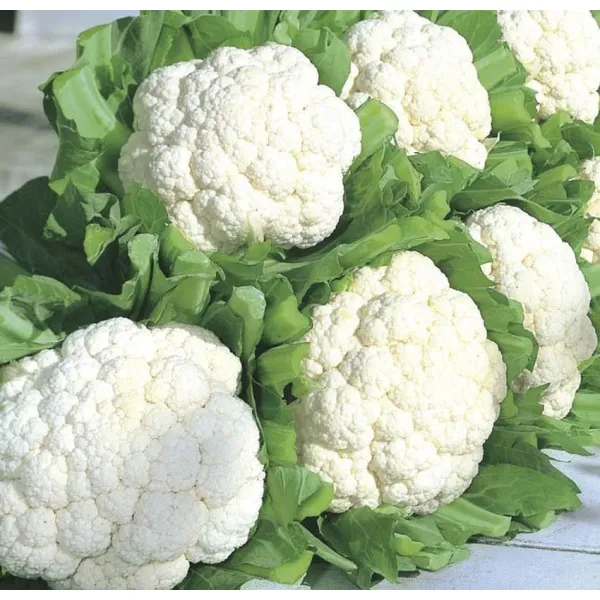 Phool Gobhi  1kg